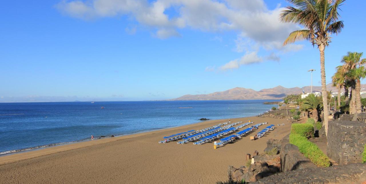 Coral Arena Dorada Puerto del Carmen (Lanzarote)