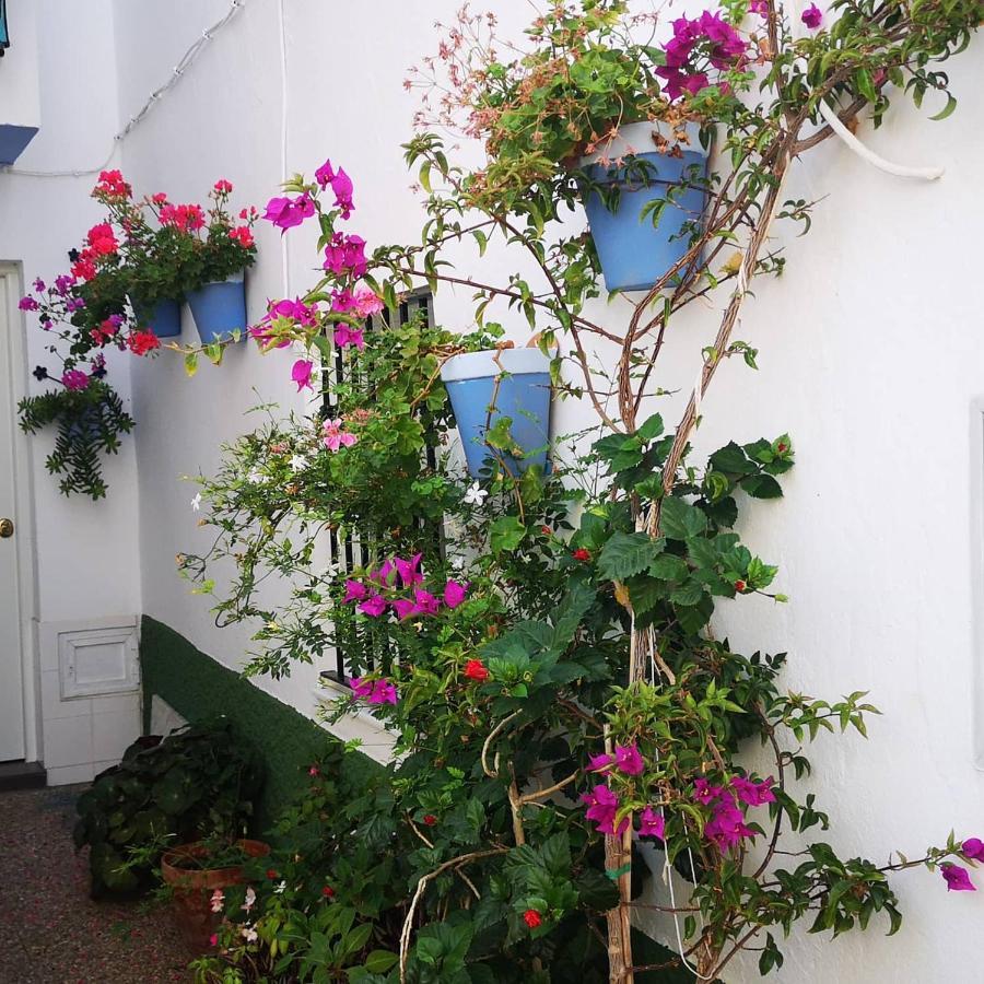 Conilplus Casa Manolete Apartment Conil De La Frontera