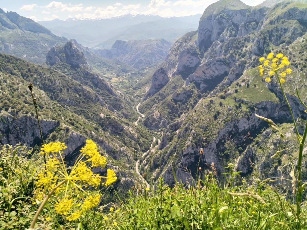 Picos De Europa