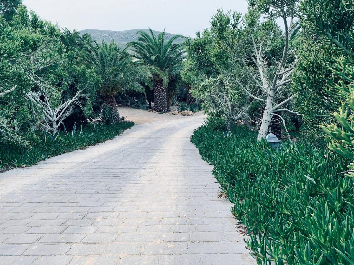 La Almendra Y El Gitano Agua Amarga (Almeria)