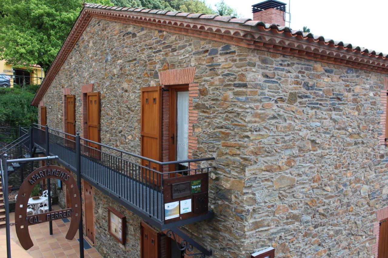 Cal Ferrer Apartment Montseny