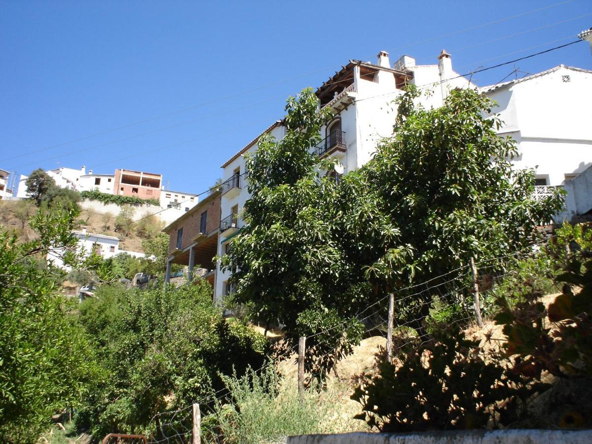 Guest house Mirador De 2*