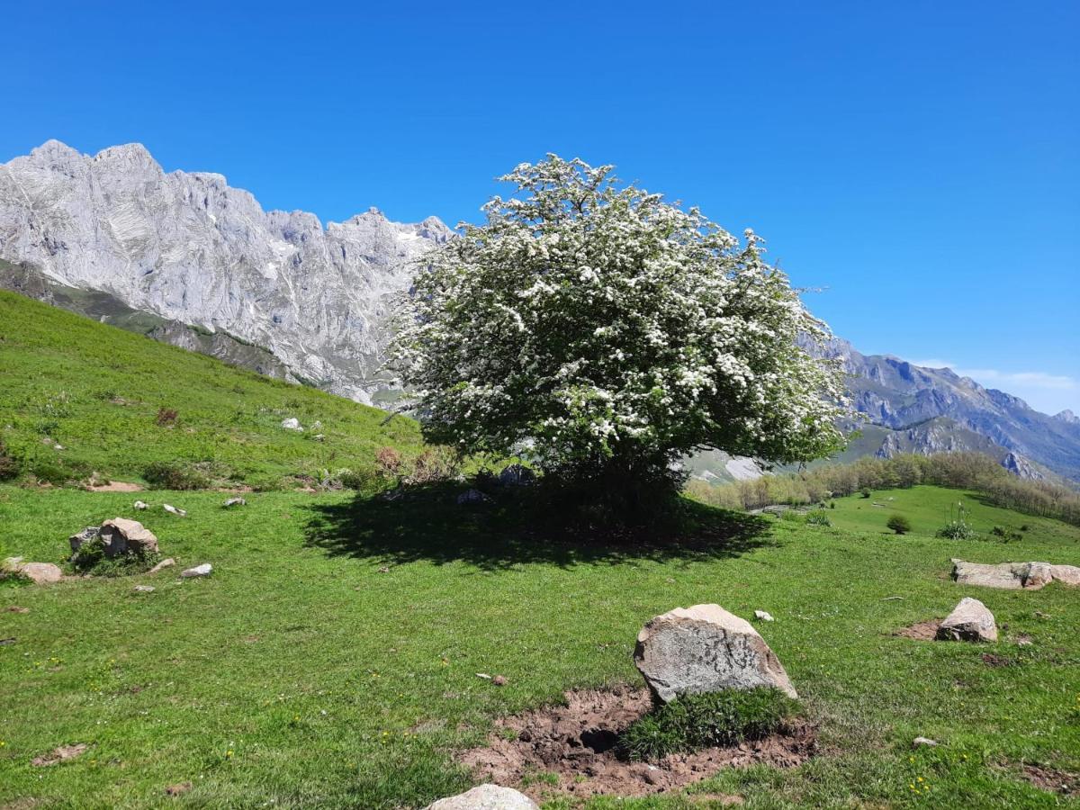 Picos De Europa Pensión Potes