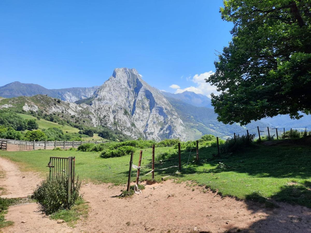 Pensión Picos De Europa