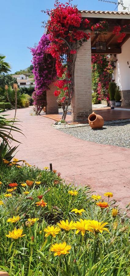 | Casa Don Carlos