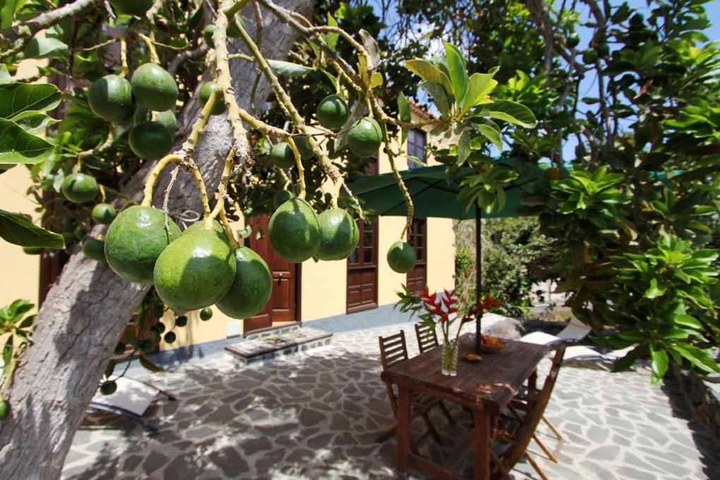 Casa Rural Aromos - Wunderschones Landhaus Mit Meerblick Holiday home *