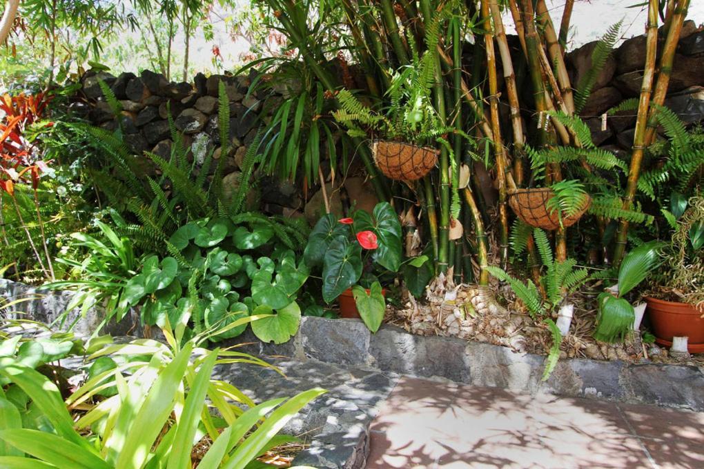 Casa Rural Aromos - Wunderschones Landhaus Mit Meerblick Holiday home *