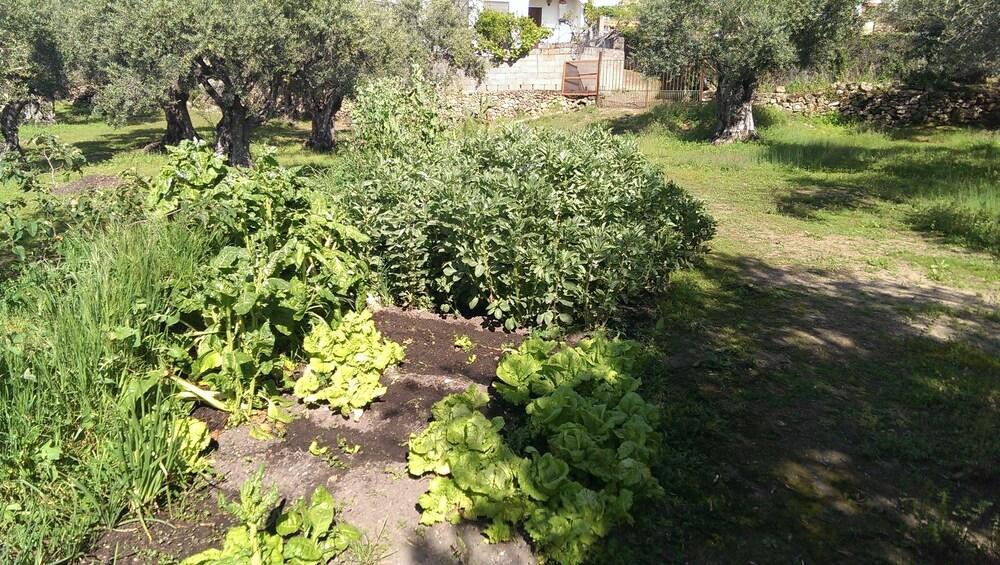 Apartamento Tia Antonia