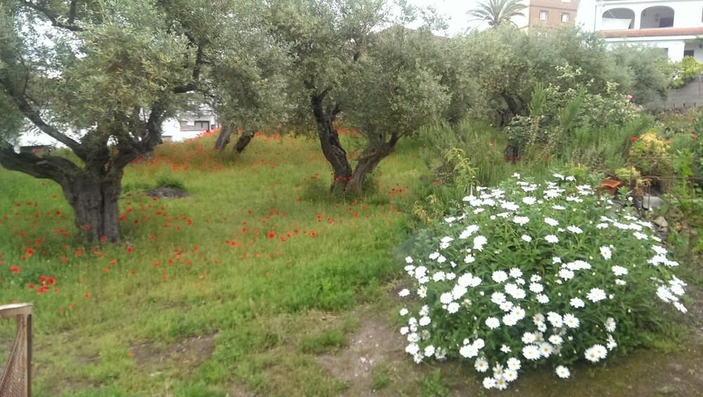 Apartamento Tia Antonia Villar de Plasencia