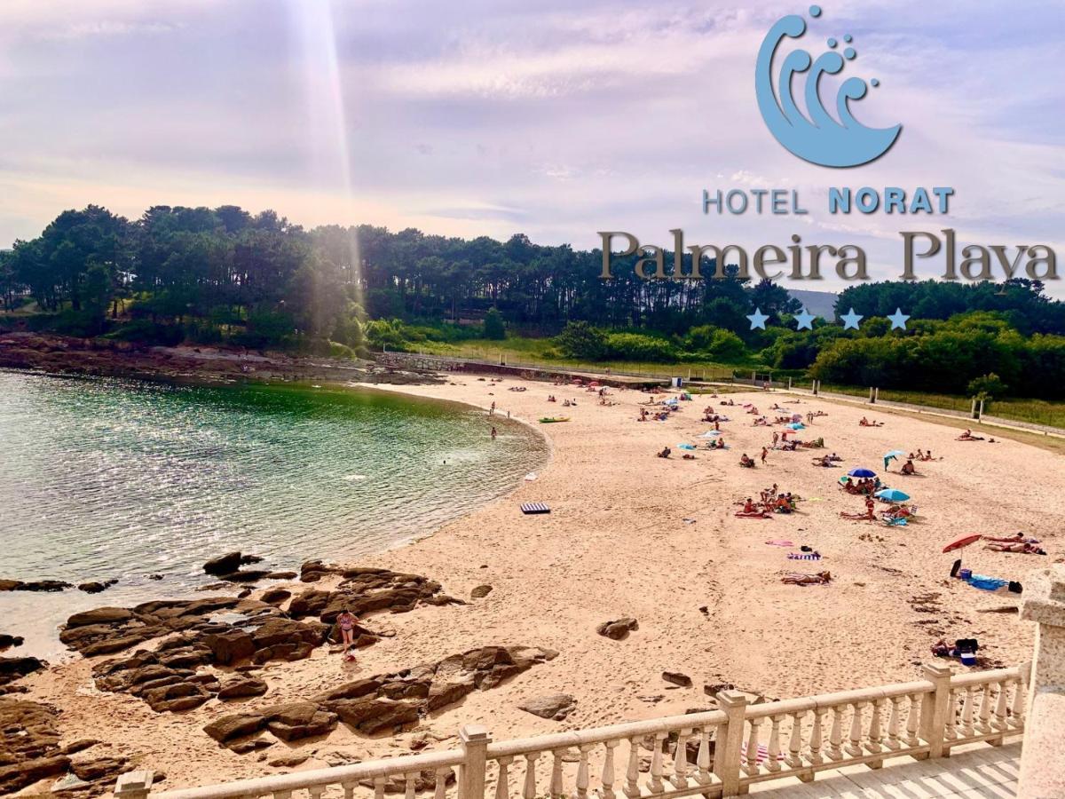 Norat Palmeira Playa Ribeira