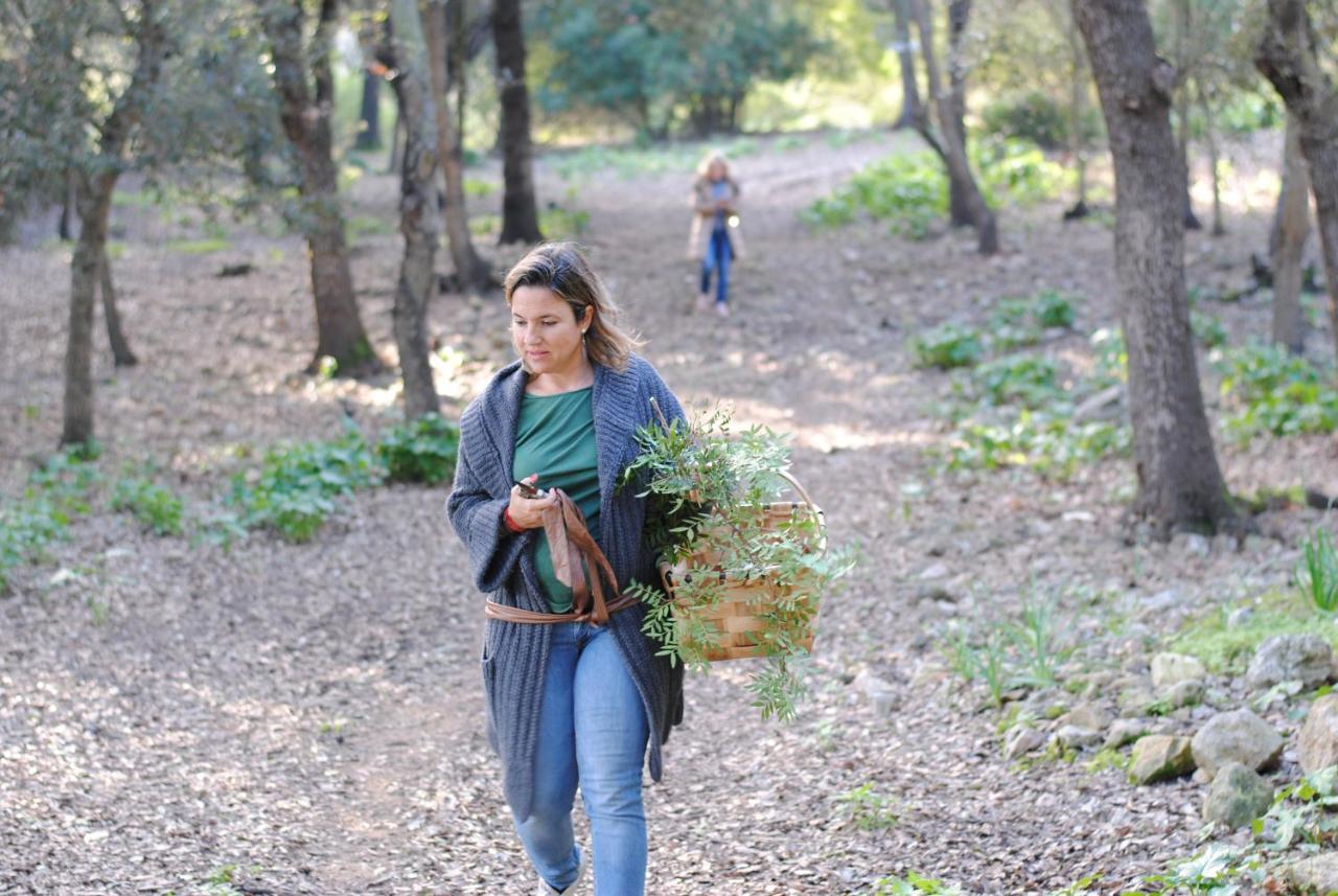 Son Siurana Agroturismo *
