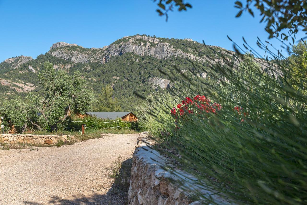 Campsite Camping Beceite