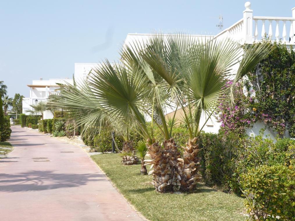 Apartment Bahia De Mamen