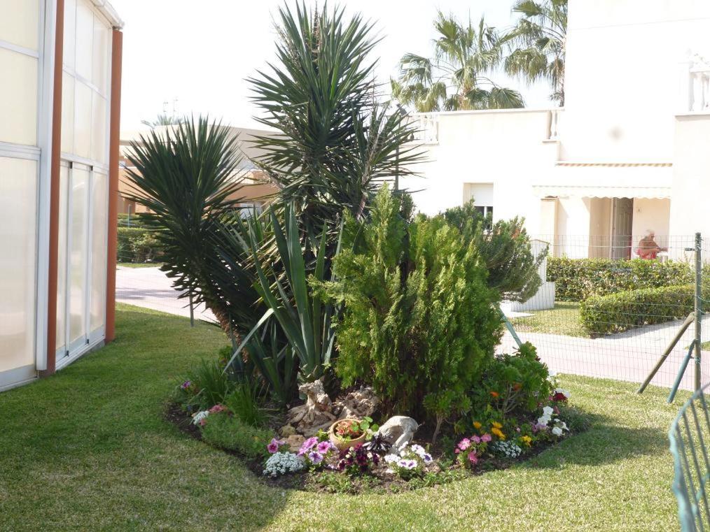 Apartment Bahia De Mamen