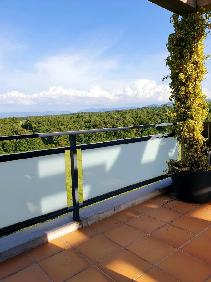 Duplex Golf Rioja Alta Ciruena