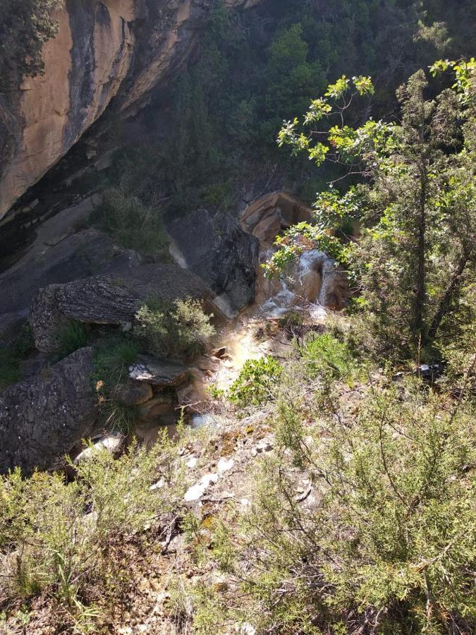 Nou Camping Montsec Camping