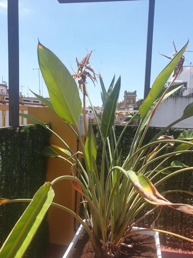 Dona Lola Corner Apartment *