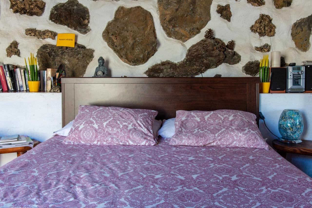 Beautiful Coastal House On A Tranquil Organic Farm Holiday home