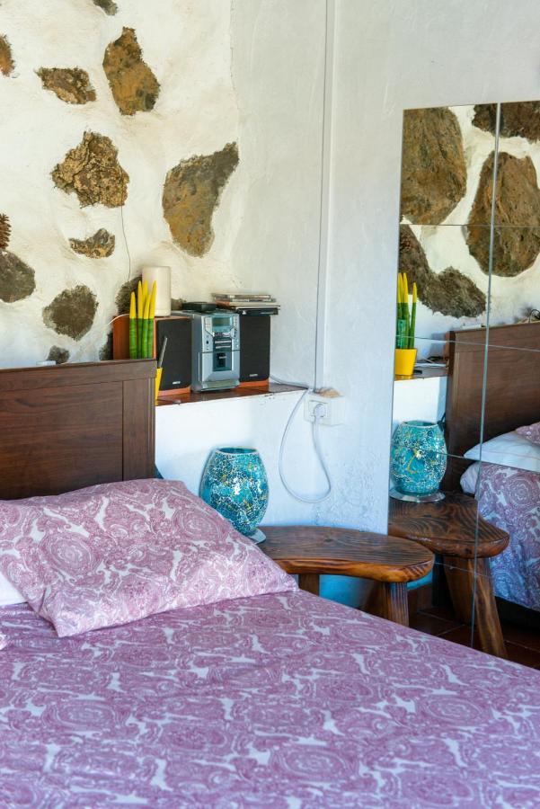 Beautiful Coastal House On A Tranquil Organic Farm Holiday home *