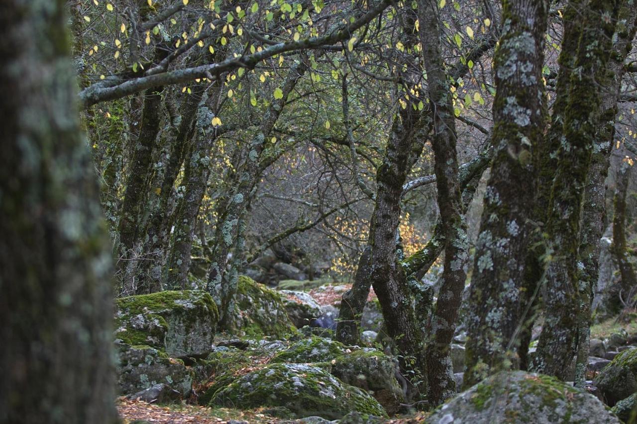 El Lago, Caceres