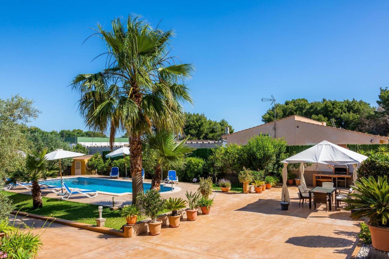 S'oratge Can Picafort (Mallorca)