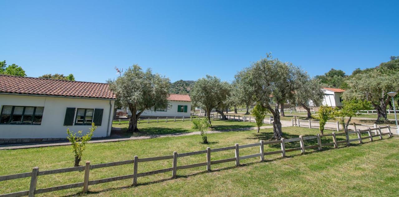 Aldeaduero Country house *