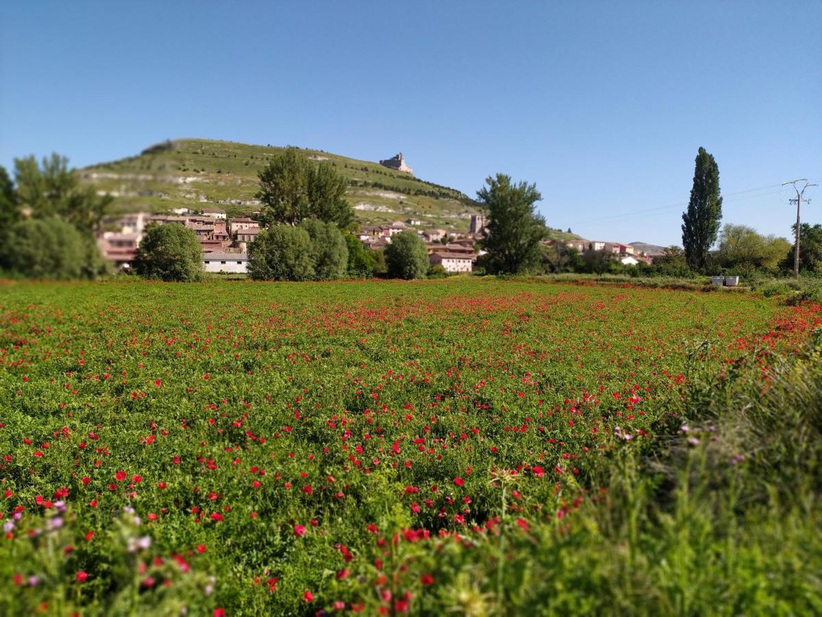 Camino De Santiago