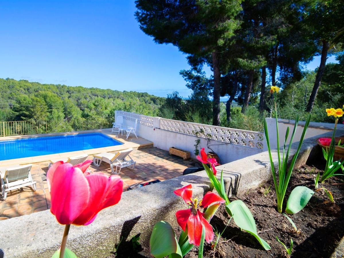 Amarilla By Interhome *