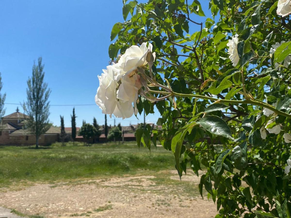 Guest house Rural Molino Del Arriero Luyego de Somoza