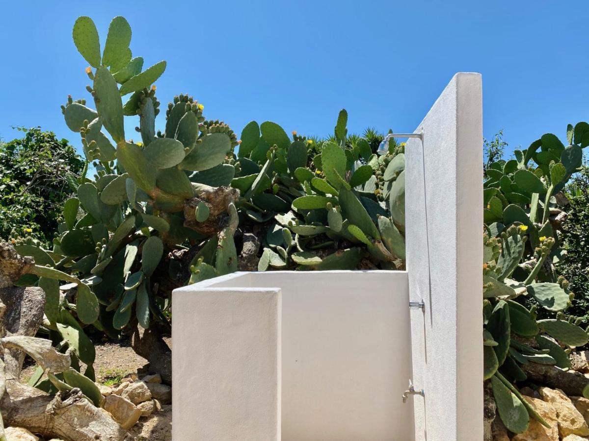 Сasa de vacaciones Xicu Castello Sant Ferran de Ses Roques