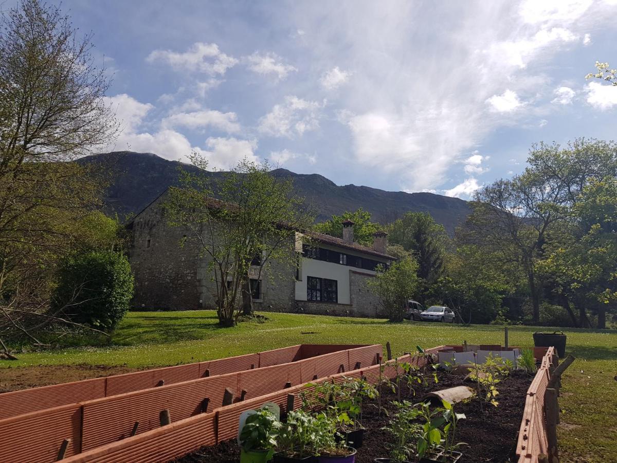 Amaicha Rural Camango