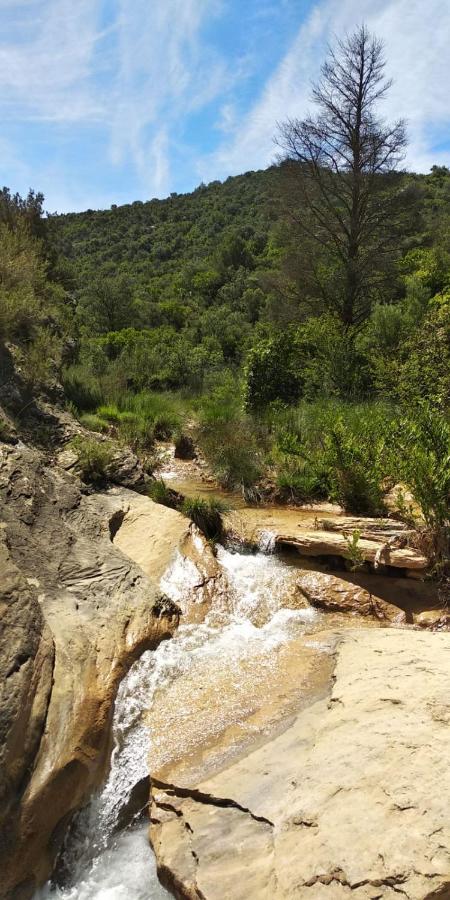Campsite Nou Camping Montsec *