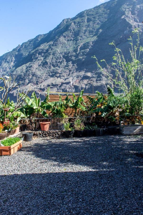 Beautiful Coastal House On A Tranquil Organic Farm Holiday home