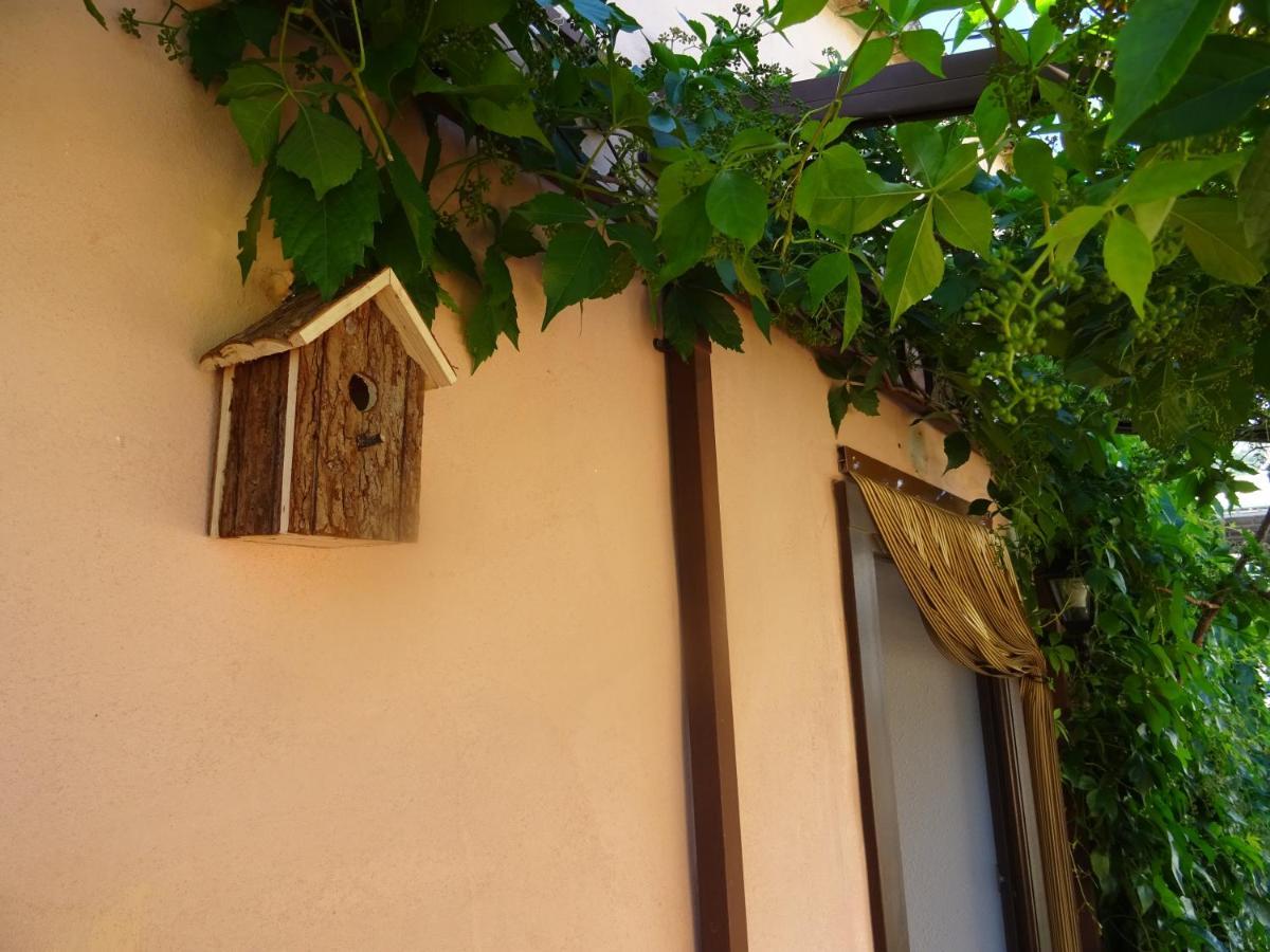 La Muntanya - Rural Guadalest