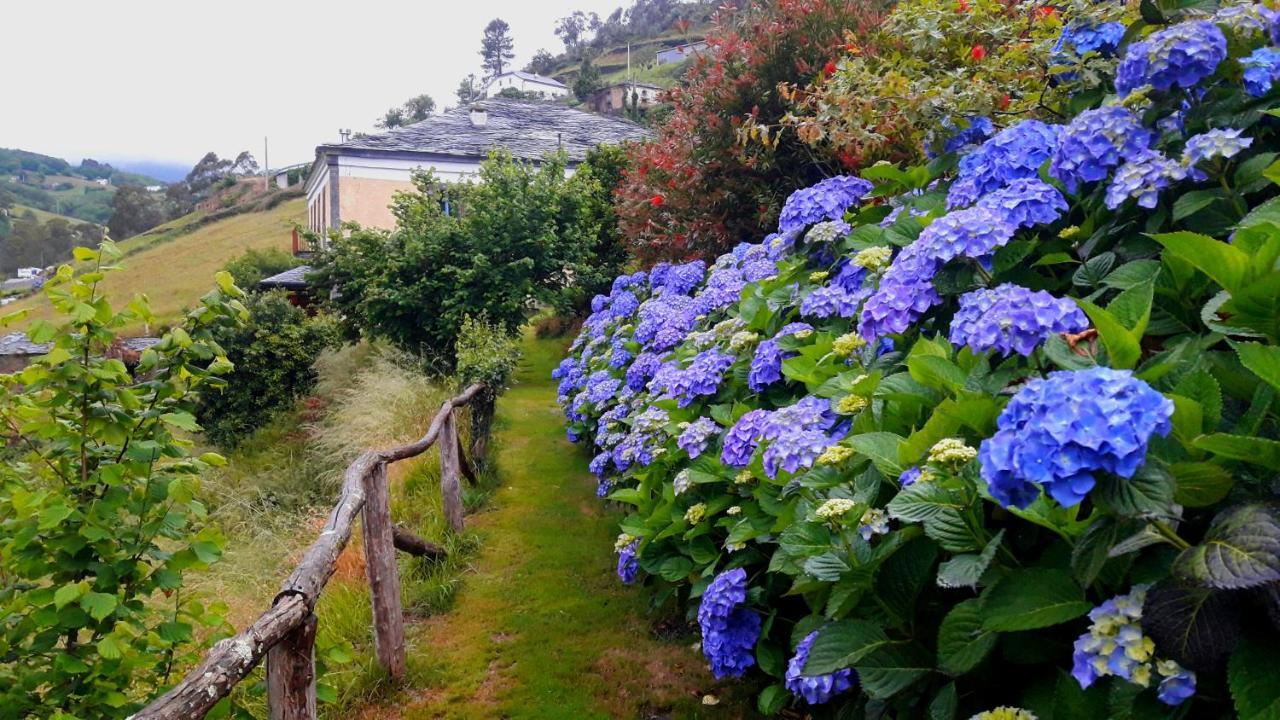 Rurales El Bosque De Vinas * Boal