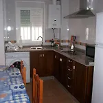Olivo 14