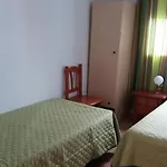 Olivo 14