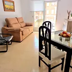 Sunflower Miramar