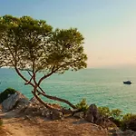 Mediterranean Way - Promar