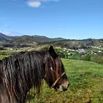 Apartamentos Casa Alvarina - Luarca