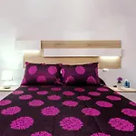 Apartamento Carey