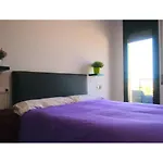 Lo Mirador del Passador