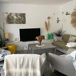 Casa David