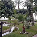 Salomar Golf