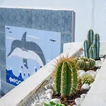 1013 Studio Garden City