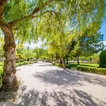 Apartamentos Villa Madrid