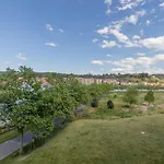 Confort Junto A La Ria De Barakaldo