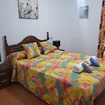 Casa Baja Naturista Con Palmeras Y Patio!