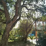 Sotogrande - Estancia En Plena Naturaleza - Abril