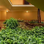 Golden Beach Apartamentos